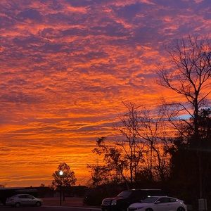 Meet your Posher, Nyasha